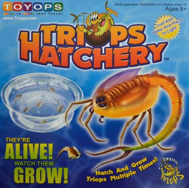 Triops Hatchery - Forhistoriske sødyr Triops Hatchery - Forhistoriske sødyr