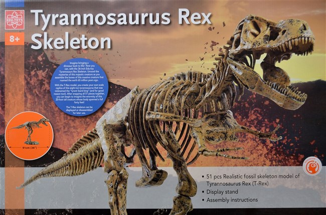 Tyrannosaurus Rex 