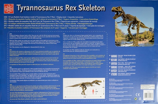 Tyrannosaurus Rex 