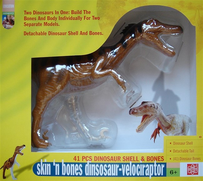 Velociraptor - 2 modeller i en Velociraptor - 2 modeller i en