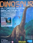 Brachiosaurus skelet