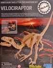 Velociraptor dinosaur