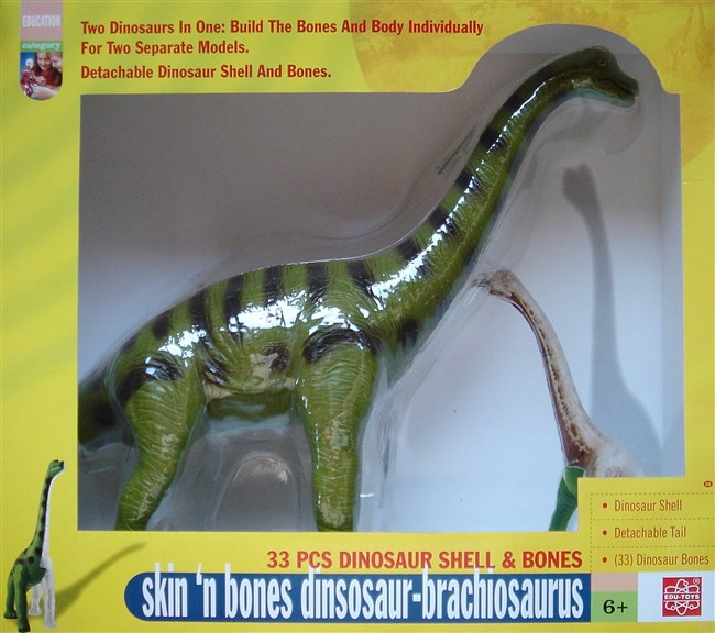 Brachiosaurus - 2 modeller i en
