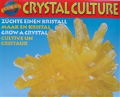 Krystaldyrkning - enkel citrin