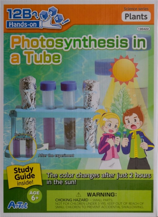 Fotosyntese i et rør