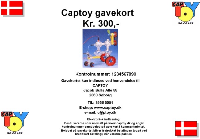 Gavekort på 300 kr