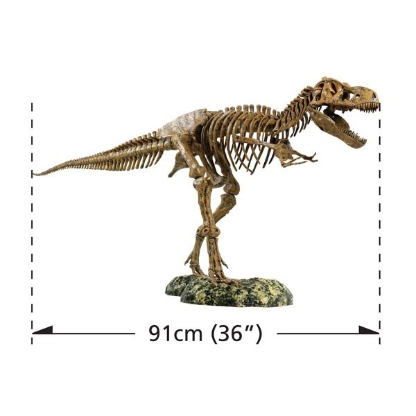 Kæmpe Tyrannosaurus Rex - 51 dele