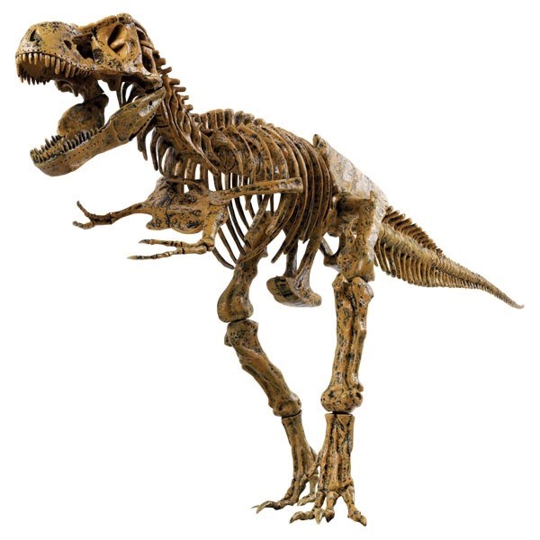 Kæmpe Tyrannosaurus Rex