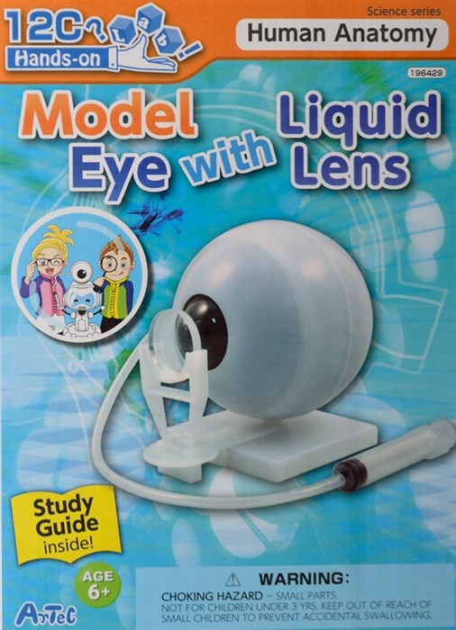 Model af øje - med flydende linse