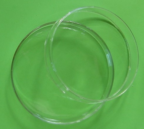 Petriskål i glas Petriskål i glas