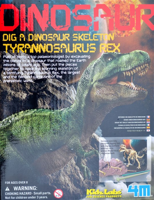 Tyrannosaurus Rex skelet