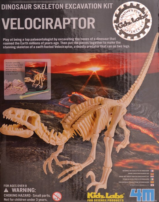 Velociraptor dinosaur Velociraptor dinosaur