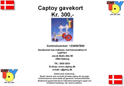 Gavekort p&#xE5; 300 kr