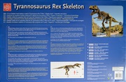 Kæmpe Tyrannosaurus Rex 