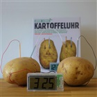 Kartoffel ur