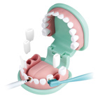 Lær og leg med tandlæge tandsæt, 3-99 år 