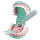 Lær og leg med tandlæge tandsæt, 3-99 år 